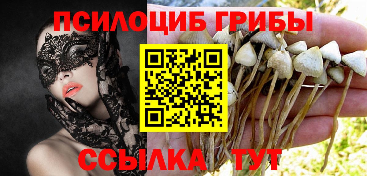 Кашира  Галлюциногенные грибы Psilocybe  Вход с VPN 